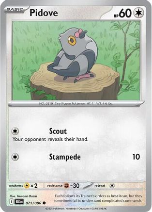Pidove 073/086 - Reverse Holofoil SV Black Bolt - Common