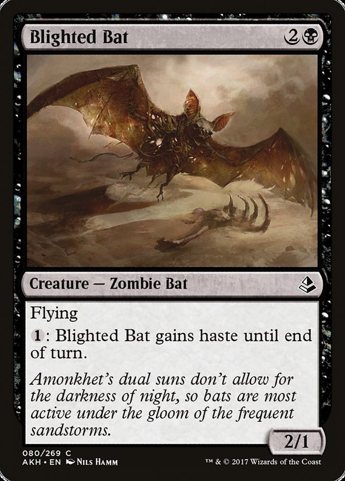 Blighted Bat [Amonkhet] Foil