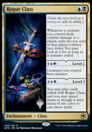 Rogue Class (Promo Pack) [Dungeons & Dragons: Adventures in the Forgotten Realms Promos] Foil