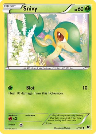 Snivy (5/124) [XY: Fates Collide] Reverse Holofoil