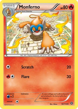 Monferno (19/114) [XY: Steam Siege] Reverse Holofoil