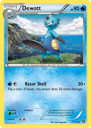 Dewott (31/114) [XY: Steam Siege] Reverse Holofoil