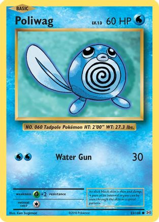 Poliwag (23/108) [XY: Evolutions] Reverse Holofoil