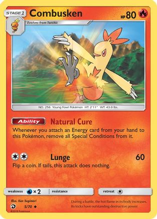 Combusken (5/70) [Sun & Moon: Dragon Majesty] Reverse Holofoil