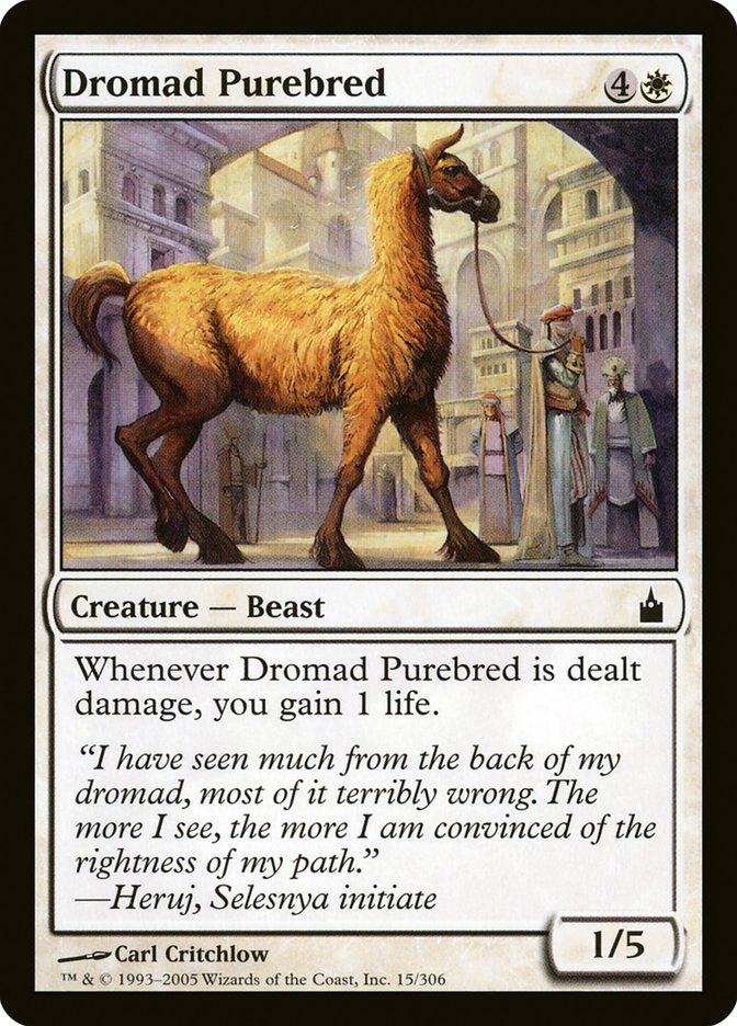 Dromad Purebred [Ravnica: City of Guilds] Foil