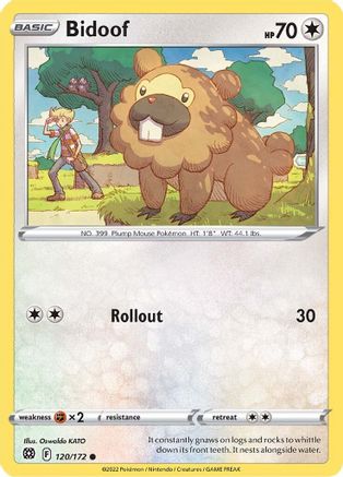 Bidoof (120/172) [Sword & Shield: Brilliant Stars] Reverse Holofoil