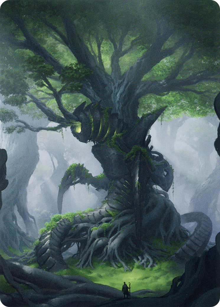 Forest // Forest  [The Brothers' War Art Series] (Borderless) Foil