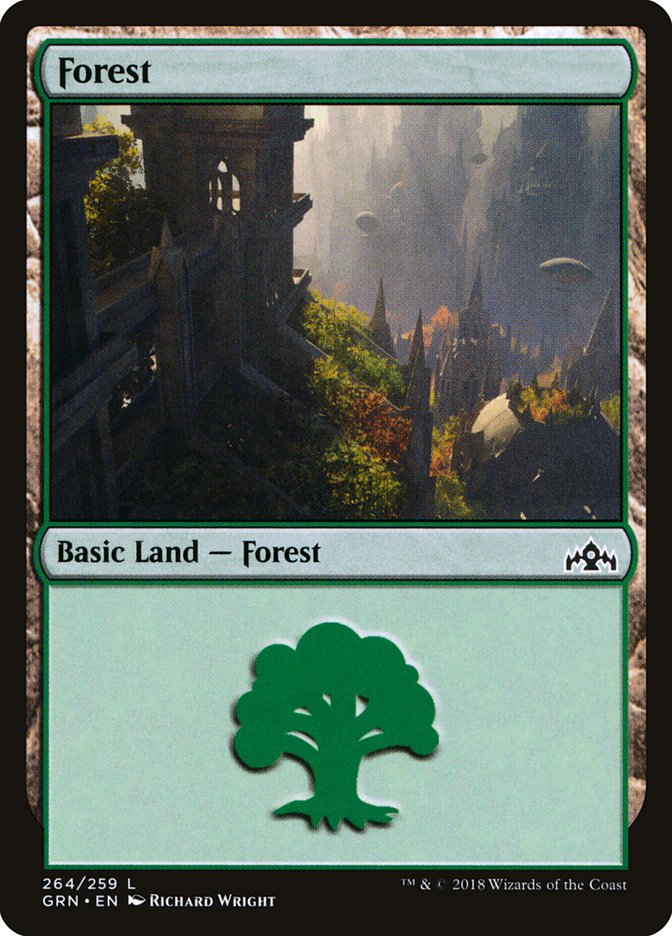 Forest (264) [Guilds of Ravnica] Foil