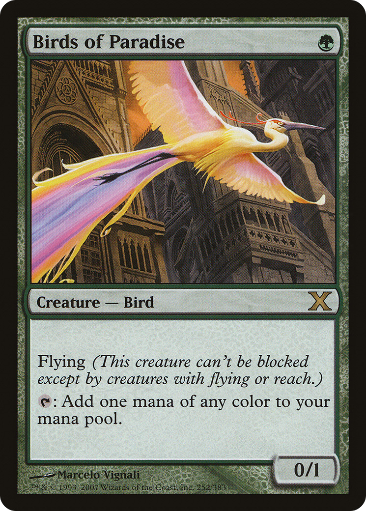 Birds of Paradise  [Tenth Edition]