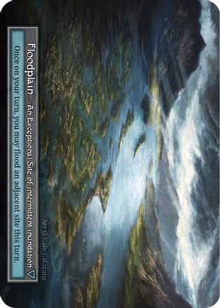 Floodplain (Foil)  - Alpha Foil