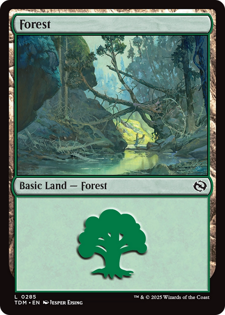Forest (0285) [Tarkir: Dragonstorm] Foil