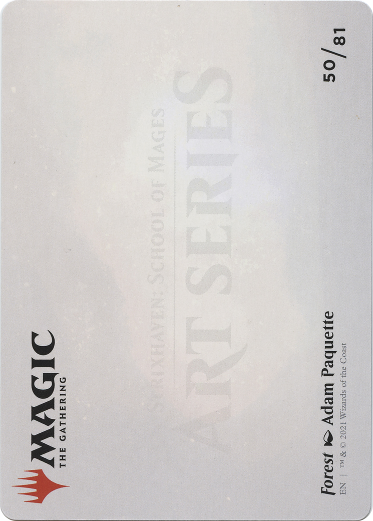 Forest // Forest  [Strixhaven Art Series] (Borderless) Foil