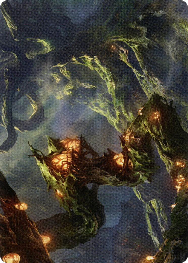 Forest // Forest  [Strixhaven Art Series] (Borderless) Foil