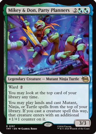 Mikey & Don, Party Planners  [Teenage Mutant Ninja Turtles]