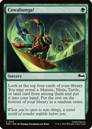 Cowabunga!  [Teenage Mutant Ninja Turtles] Foil