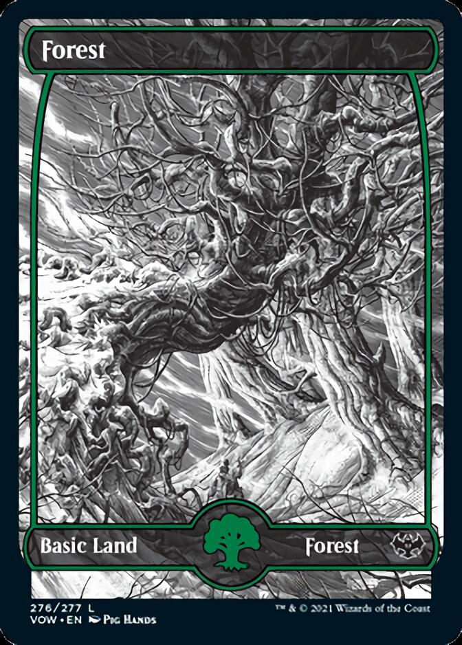 Forest (276) [Innistrad: Crimson Vow] Foil