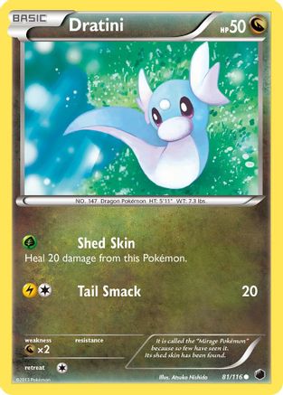 Dratini (81/116) [Black & White: Plasma Freeze] Reverse Holofoil