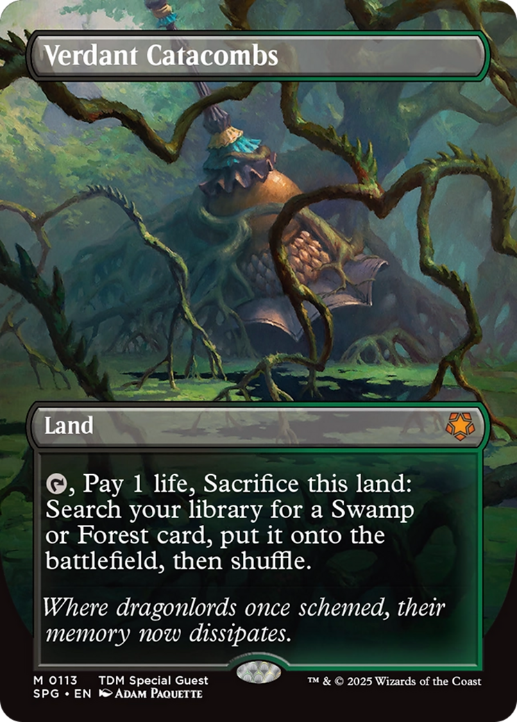 Verdant Catacombs (Borderless) [Tarkir: Dragonstorm Special Guests] Foil
