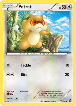 Patrat (77/114) [Black & White: Base Set] Reverse Holofoil