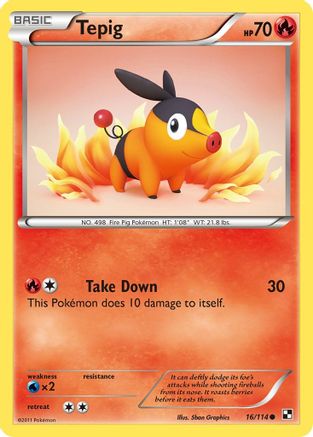Tepig (16/114) [Black & White: Base Set] Reverse Holofoil