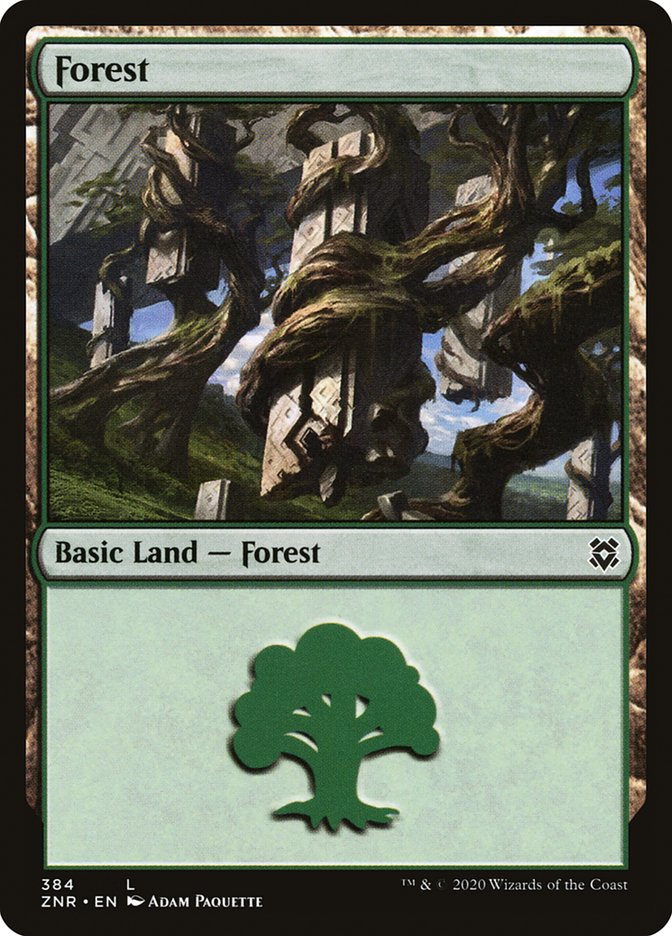 Forest (384) [Zendikar Rising] Foil