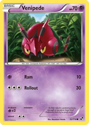 Venipede (52/114) [Black & White: Base Set] Reverse Holofoil