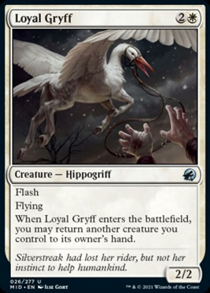 Loyal Gryff [Innistrad: Midnight Hunt] Foil