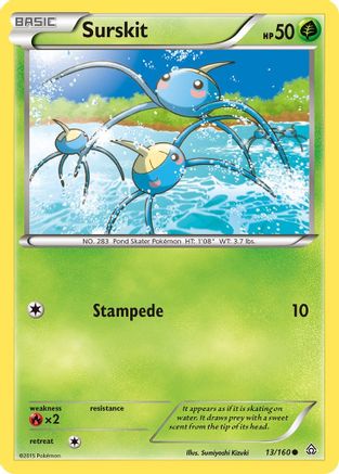 Surskit (13/160) [XY: Primal Clash] Reverse Holofoil