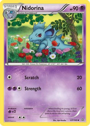 Nidorina (67/160) [XY: Primal Clash] Reverse Holofoil