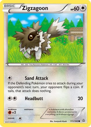 Zigzagoon (111/160) [XY: Primal Clash] Reverse Holofoil