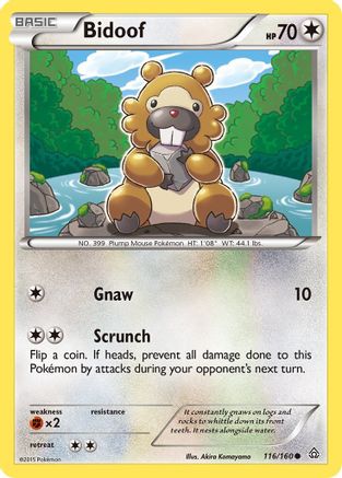 Bidoof (116/160) [XY: Primal Clash] Reverse Holofoil
