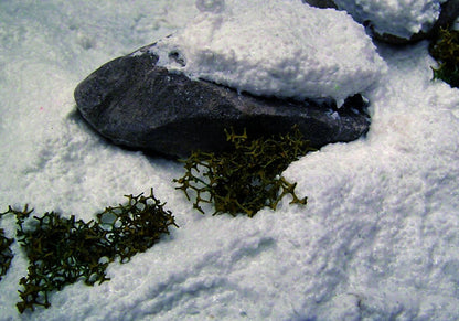 Vallejo Diorama FX Ground Textures Snow 200ml