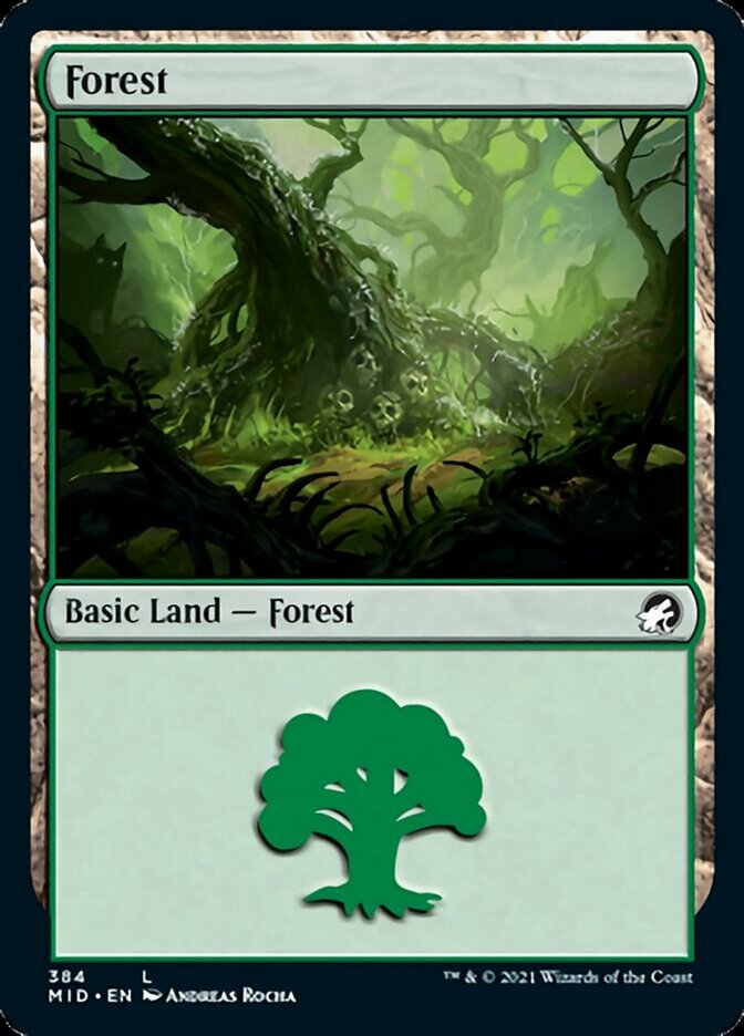 Forest (384) [Innistrad: Midnight Hunt] Foil