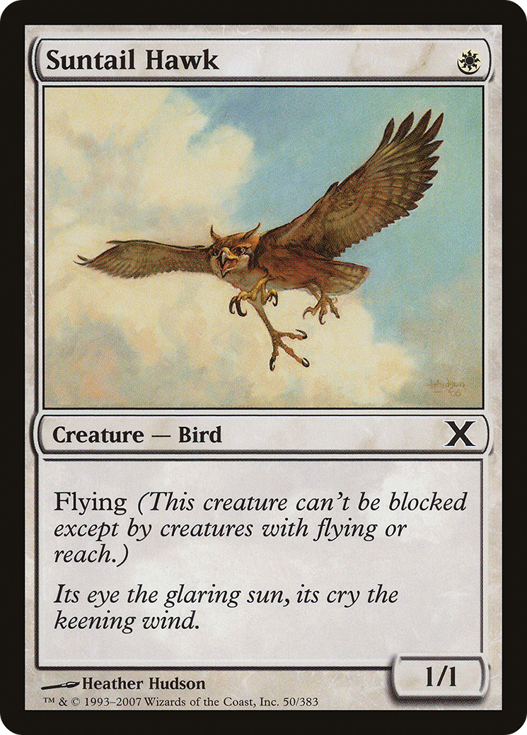 Suntail Hawk  [Tenth Edition]