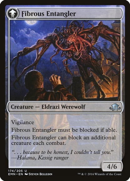 Tangleclaw Werewolf // Fibrous Entangler [Eldritch Moon] Foil