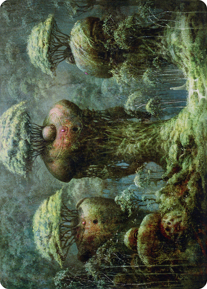 Forest // Forest  [Dominaria United Art Series] (Borderless)